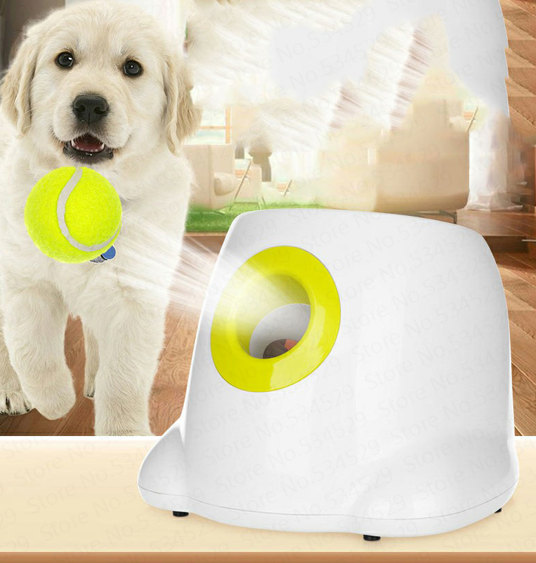 Automatic ball launcher for dog