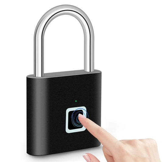 Biometric security lock